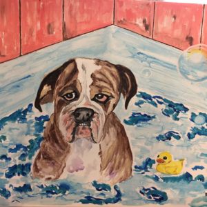 bulldog bathtime