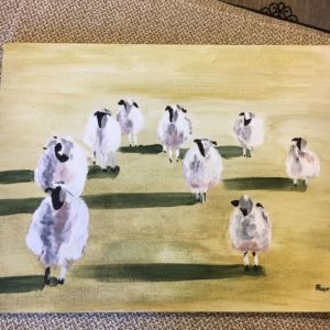 lots of sheep