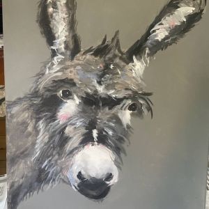 Gray donkey